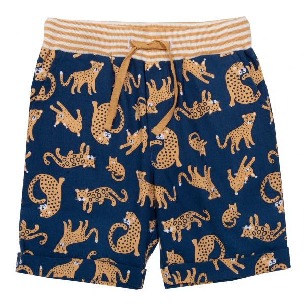 Kite Cat Kingdom Shorts